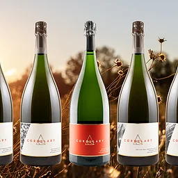Magnum Tastings