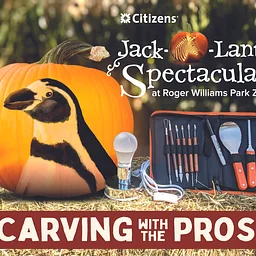 Carving with the Pros