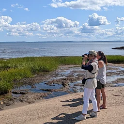 Bird and Nature Walk: Great Kills Park