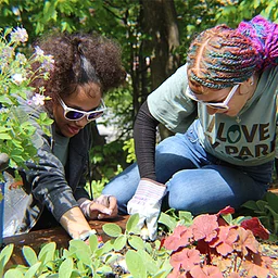 Community Gardening Day