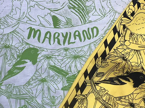 Introduction to Screenprinting on Fabric