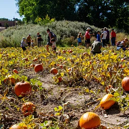 Santa Fe Harvest Festival