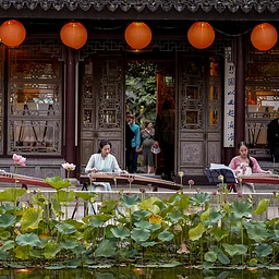 Live Music Among Lotus