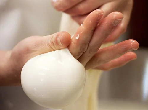 Mozzarella from Scratch