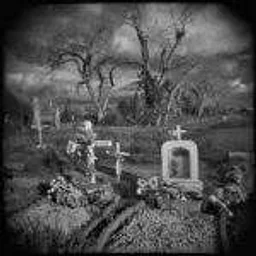 Meet-Up in LA: Dia de los Muertos at Hollywood Forever with Thomas Alleman