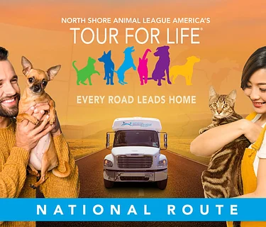 Citizens For Animal Protection