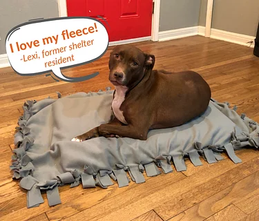 Community Volunteering: Make Dog Toys with APA!