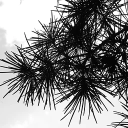 Creative Happy Hour: Sumi Ink