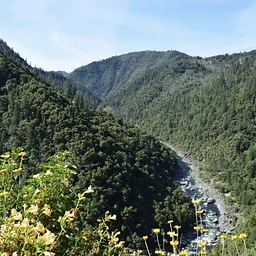 Community Hike - Steven’s Trail