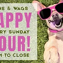 Wine & Wags Yappy Hour