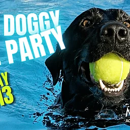 Soggy Doggy Pool Party – Gainesville Parks and Rec