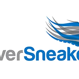Chair Silver Sneakers