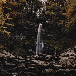 Catskills Geology Walk with Robert Titus