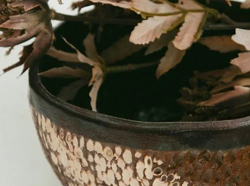 Ceramic Planter Workshop (Session C)