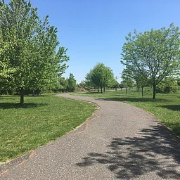 All Abilities Hike at Mariner Point