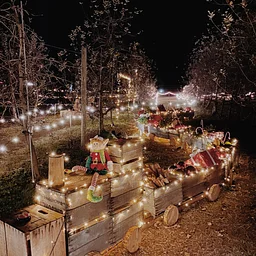 Christmas At Fruit Hill