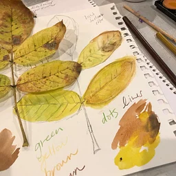 Nature Journaling - Leaves & Leaf Litter