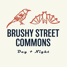Brushy Street Commons