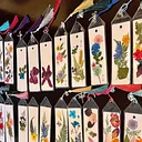Bloom Between the Pages: Pressed Flower Bookmark Workshop