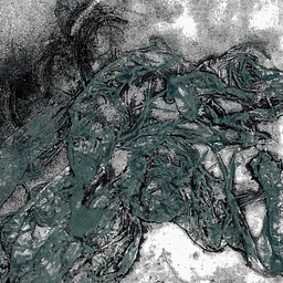 Sampler Session: Collagraph