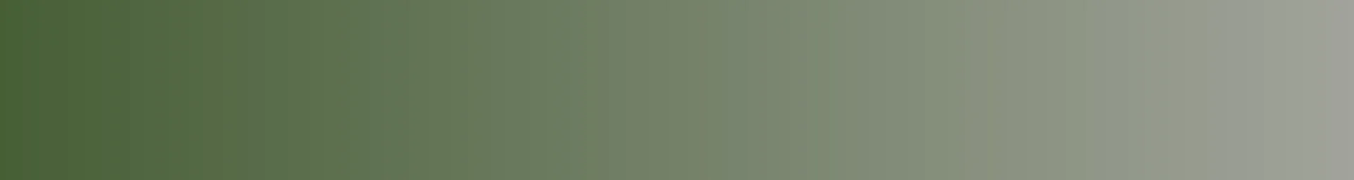 Century Village Museum