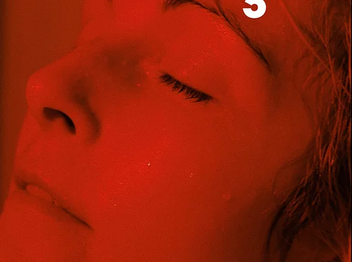 Polica: Dreams Go Tour 2026