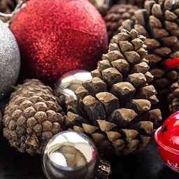 Ornament Workshop