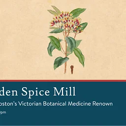 Fessenden’s Spice Mill: A Pioneer in Boston’s Victorian Botanical Medicine Renown
