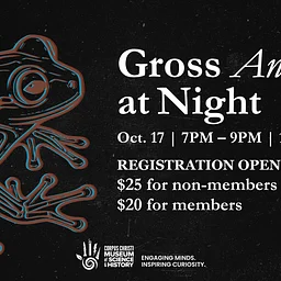 At Night: Gross Anatomy