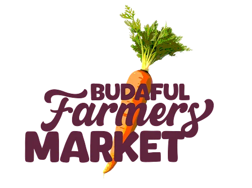 chef cibelli’s taste of the market samples, music at the market: Dani the violinist