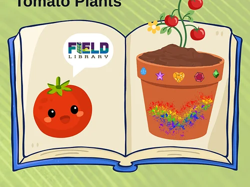 Story and Tomato Plants