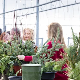 Winter Porch Pot Workshop!