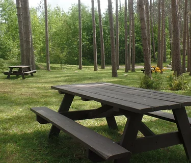 Words in the Woods: Margaret Draft