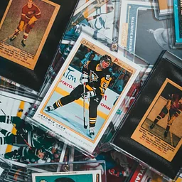 Tampa Sports Collectors Expo