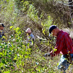 Invasive Plant Control Strategies, Techniques, Tips, Tricks and Tools!  