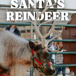 Visit Santa's Reindeer Dec. 5, 2026!
