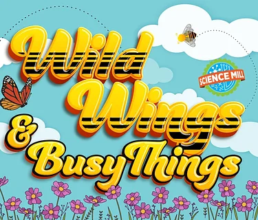 Wild Wings & Busy Things