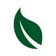 The Grain Cafe