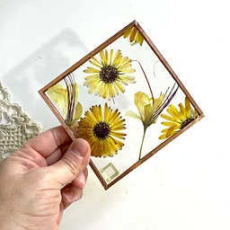 Pressed Flowers in Glass: Coaster Set