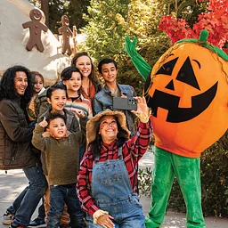 Pumpkins in the Pines
