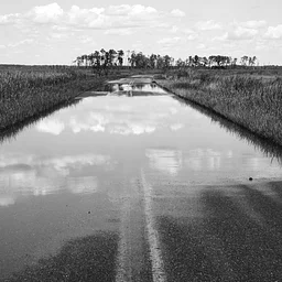 PHOTOGRAPHY: COMMUNITY PROJECT ON CLIMATE CHANGE