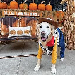Howl-O-Ween at Dallas Farmers Market