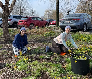 Horticulture Community Volunteer Days
