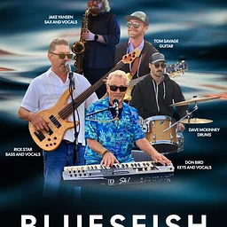 First Friday Art Walk with Bluesfish