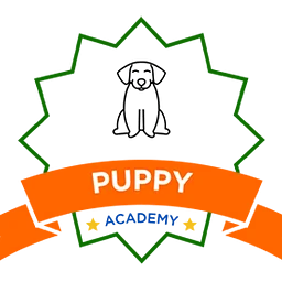 Puppy Academy