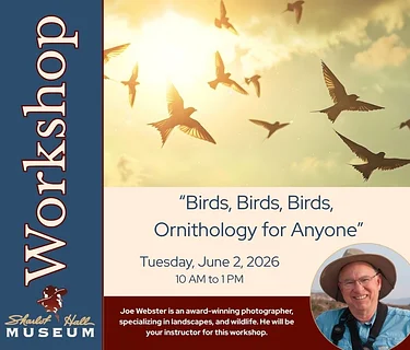 Workshop: “Birds, Birds, Birds, Ornithology for Anyone”