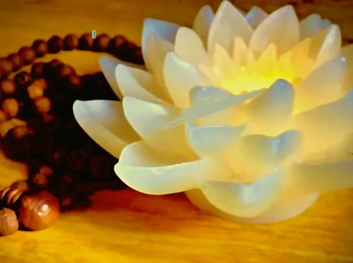 Learn To Meditate: Tame the Wild Horse of Your Mind