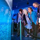 Mote SEA Guided Tour