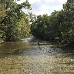 Brushy Creek Water Quality Training