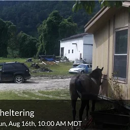 Mimesis Documentary Festival: Sheltering